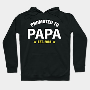 PROMOTED TO PAPA EST 2018 gift ideas for family Hoodie